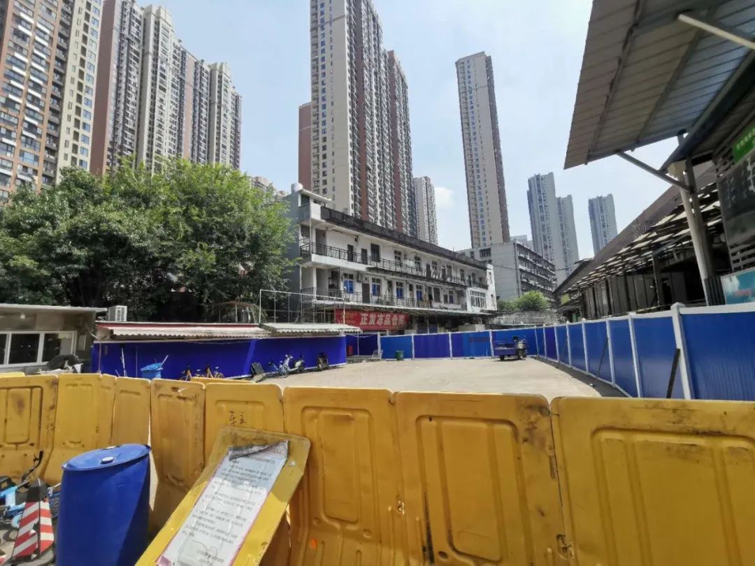 这是一个四个月后重返武汉的故事丨单读