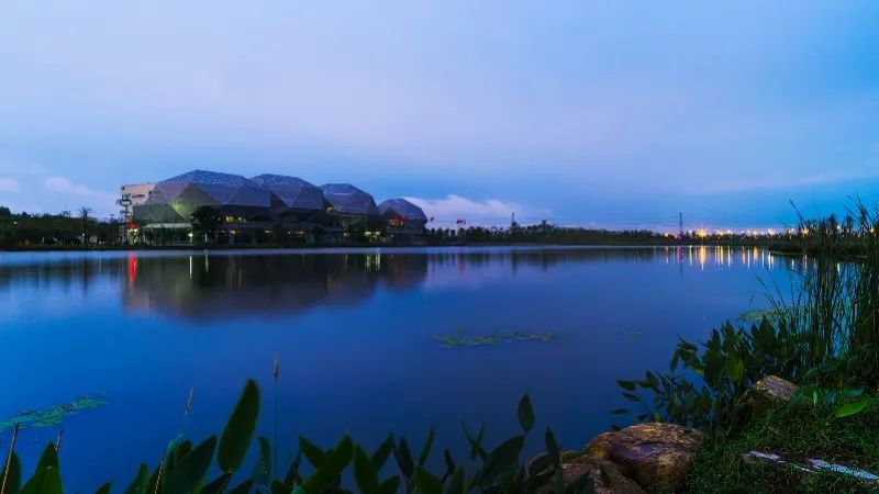 东莞最新交通规划2035,东莞交通规划2035图