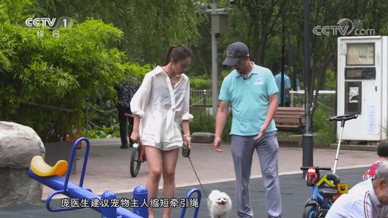 被动物咬伤的正确处理方法,被动物抓伤有什么症状