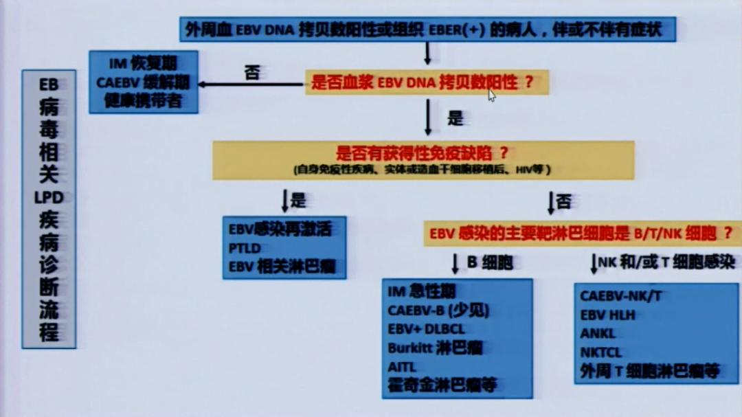周剑峰博士,慢性活动性eb病毒感染诊断标准