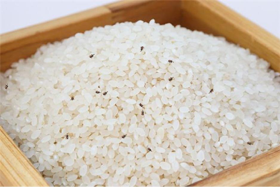 海关出口小知识,海关小知识大全集