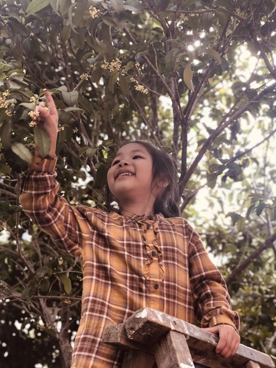 滨江多思创新学校,滨江学校全部排名