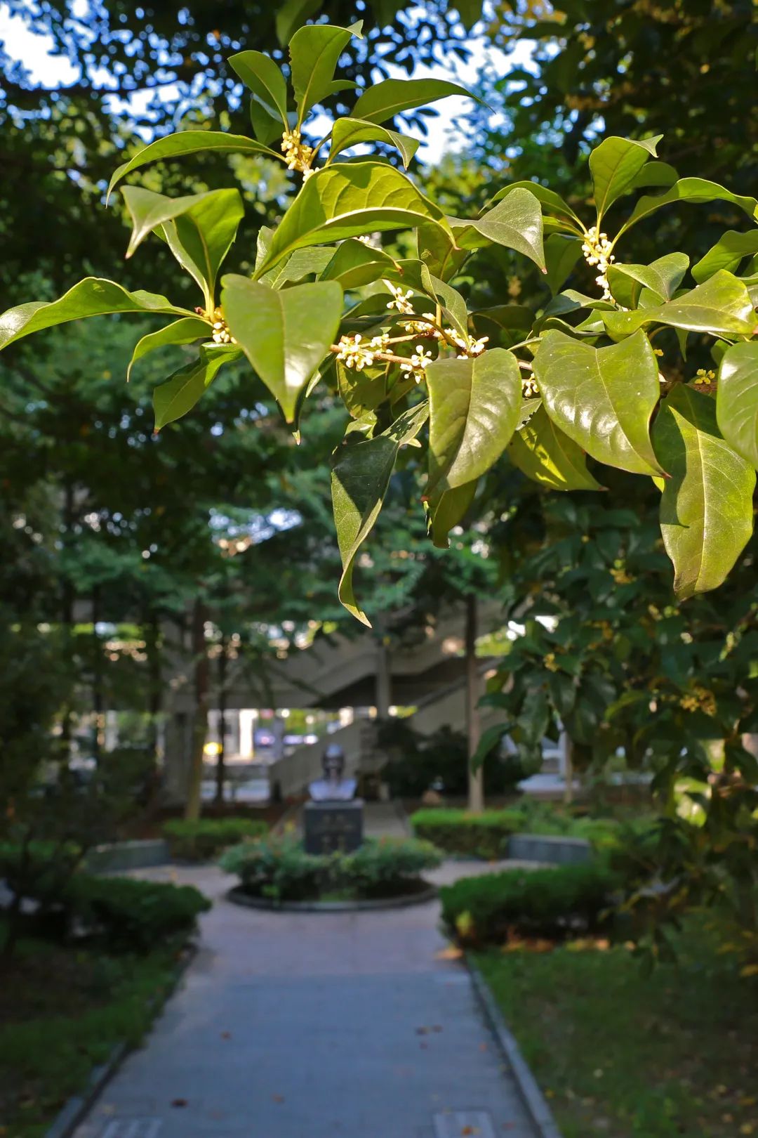 滨江多思创新学校,滨江学校全部排名