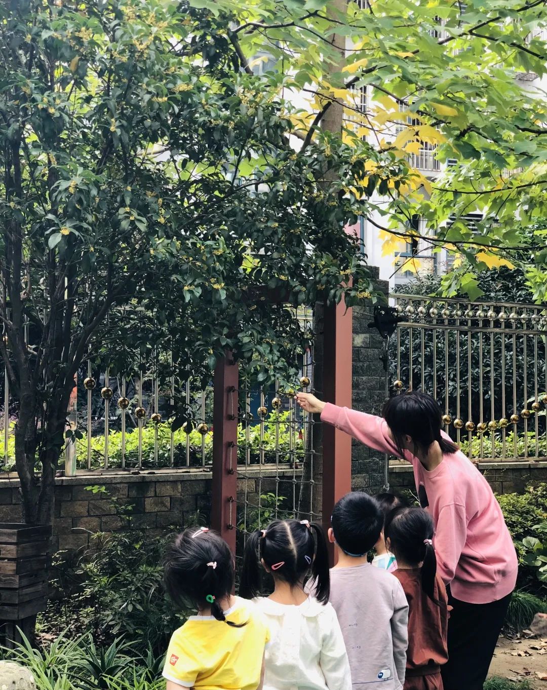 滨江多思创新学校,滨江学校全部排名