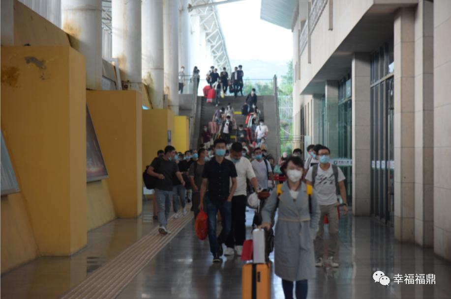 福鼎客运站时刻表查询,福鼎客运恢复时间