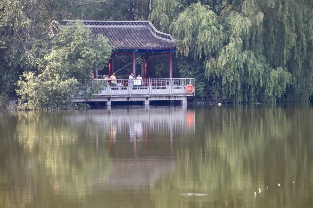 适合周末遛娃的公园,亦庄亲子玩乐