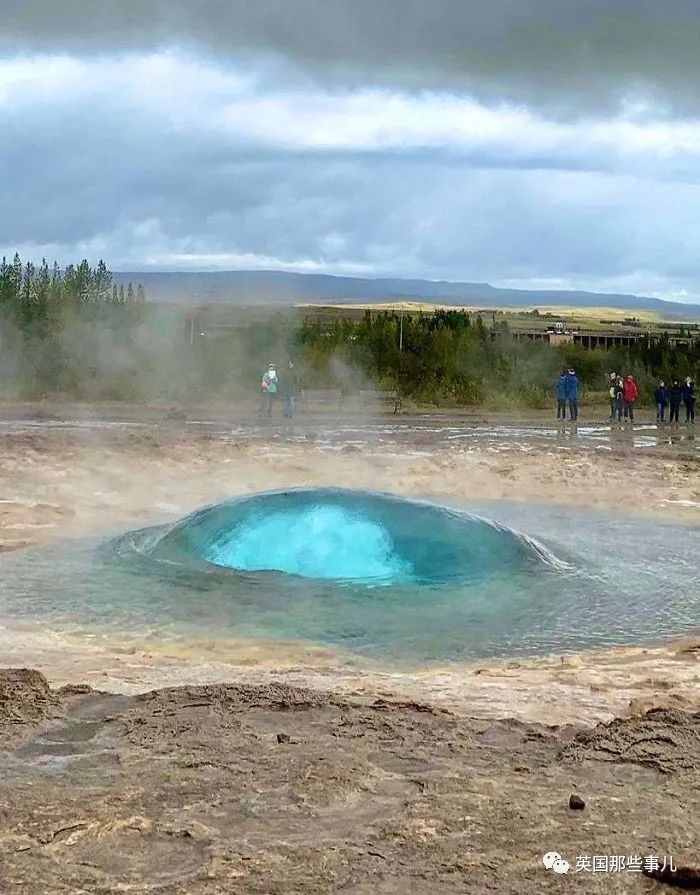 猫头鹰没有眼睛能说话吗,猫头鹰没眼皮
