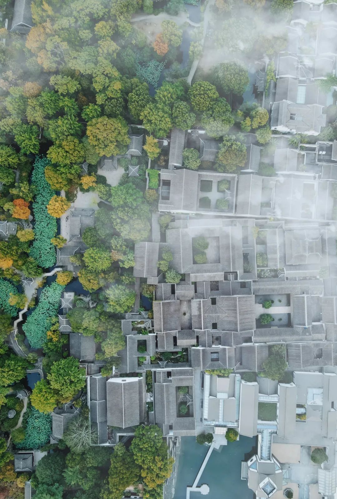 苏州是一座什么样的城市,苏州是一座美丽的城市