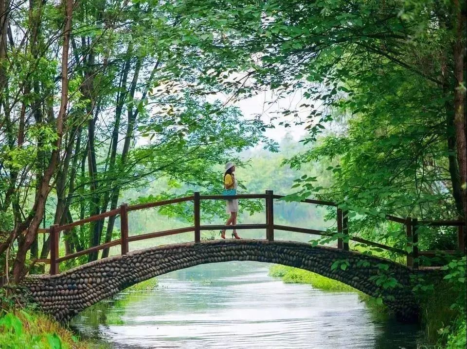 青白江足球场推荐,青白江特色风景