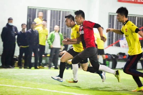 辽宁盖州太阳升,牛气冲天获奖视频