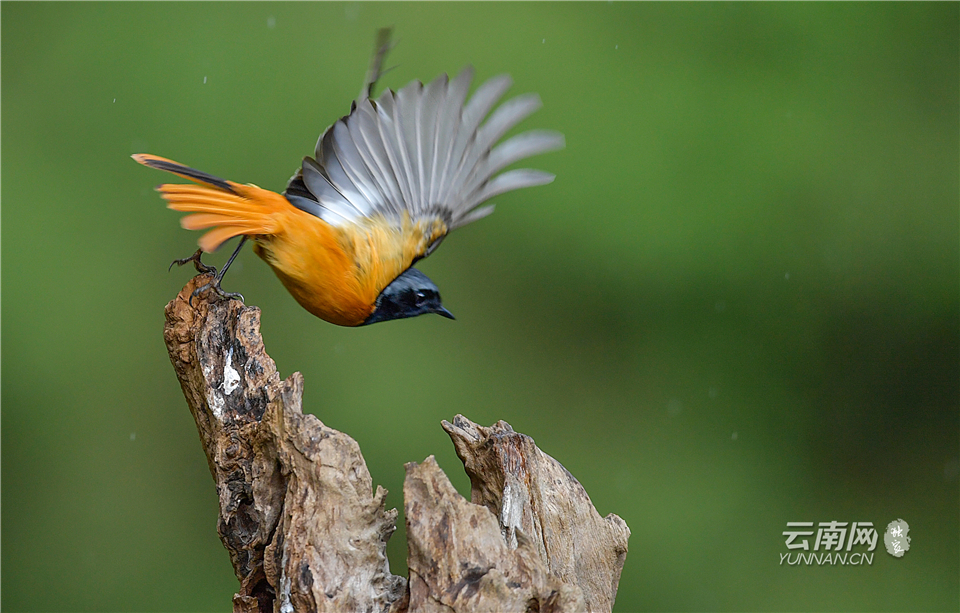 昆明金殿景色,云南昆明金殿公园绝美照片