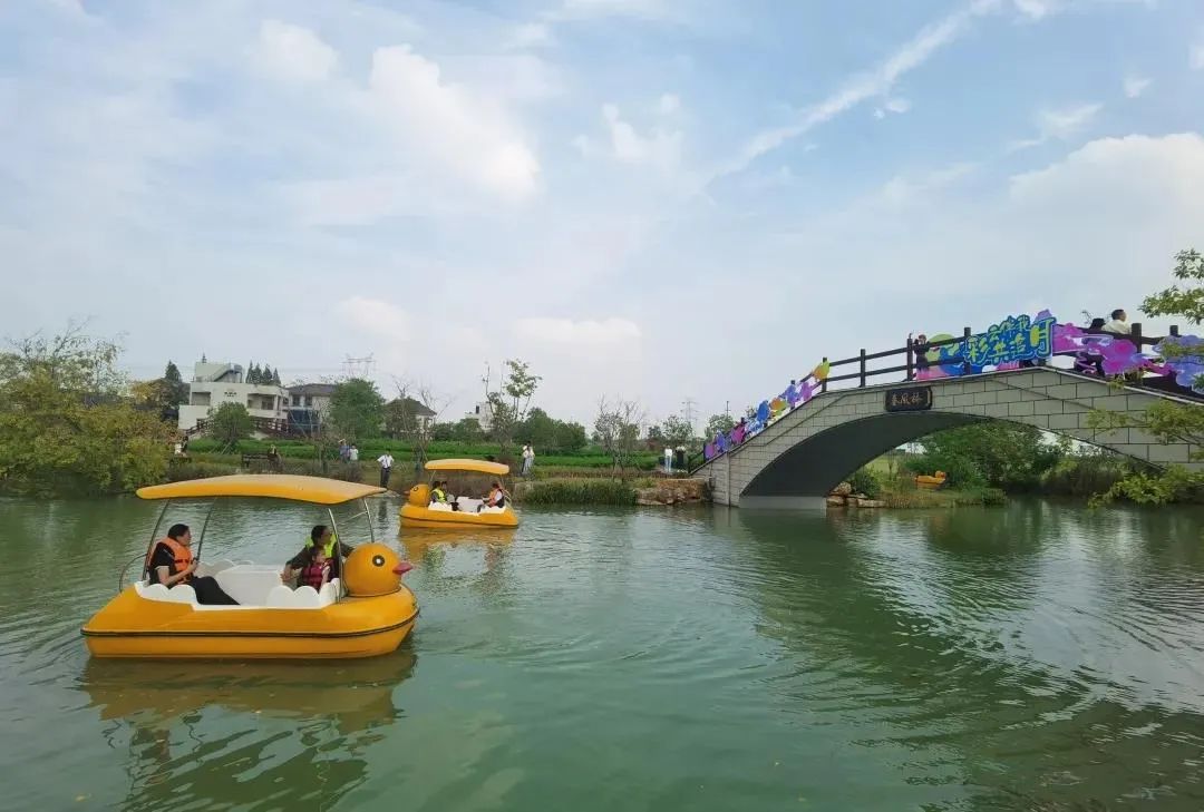 存款超200万家庭,八天突破100万粉丝