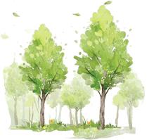 宫腔镜内膜息肉切除术影响怀孕吗,内膜息肉怀孕了对胎儿有影响吗