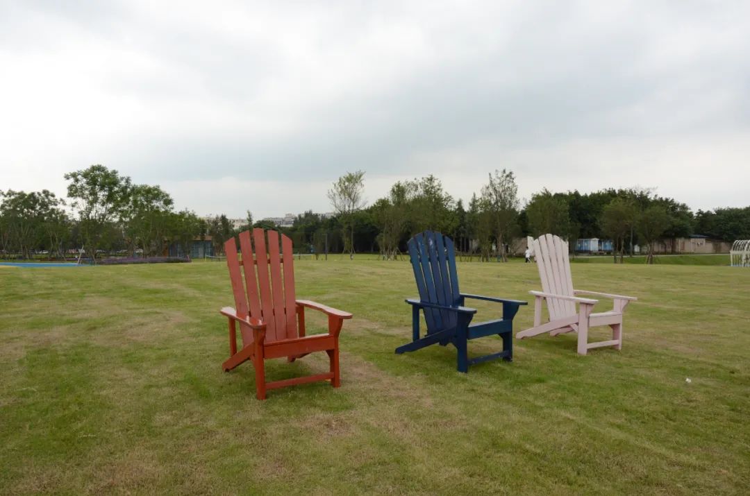 双流最好玩的公园,双流附近公园免费景点