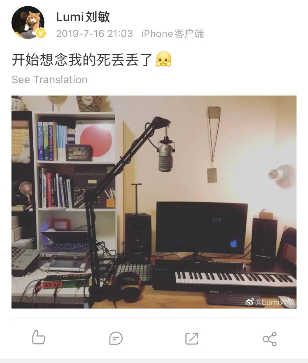 乐夏结束了么,乐夏之后解散的乐队