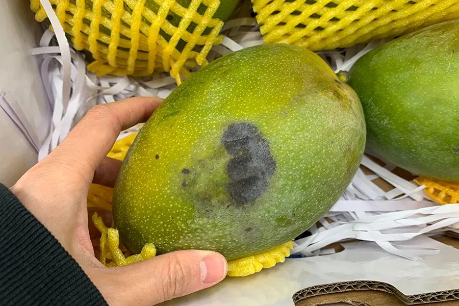 开XXXL号卖场，盒马X会员店打得过山姆、Costco吗？