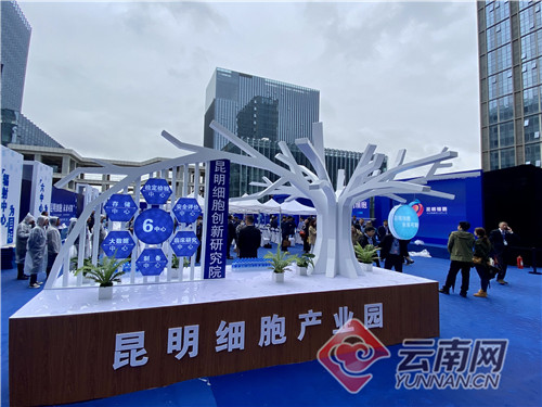 昆明细胞产业园投资,昆明细胞产业园招聘