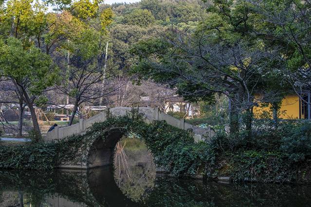 多情秋日相约无锡，太湖畔的浪漫与情愫