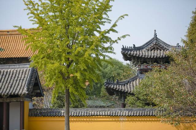 多情秋日相约无锡，太湖畔的浪漫与情愫