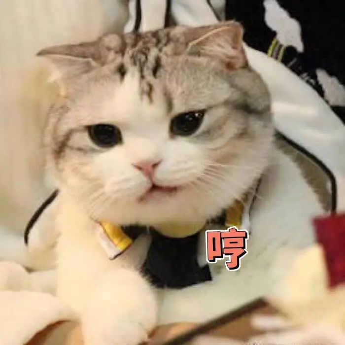 嘘！青白江名媛群邀你进群！让你轻松在朋友圈c位出道