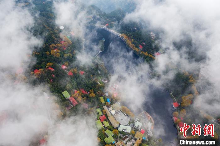 庐山云雾缭绕美不胜收,绝美江西庐山现壮阔云瀑景观