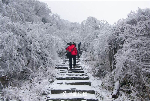 “七日一徽说”之二十八——“九龙出海”岭上关（上）