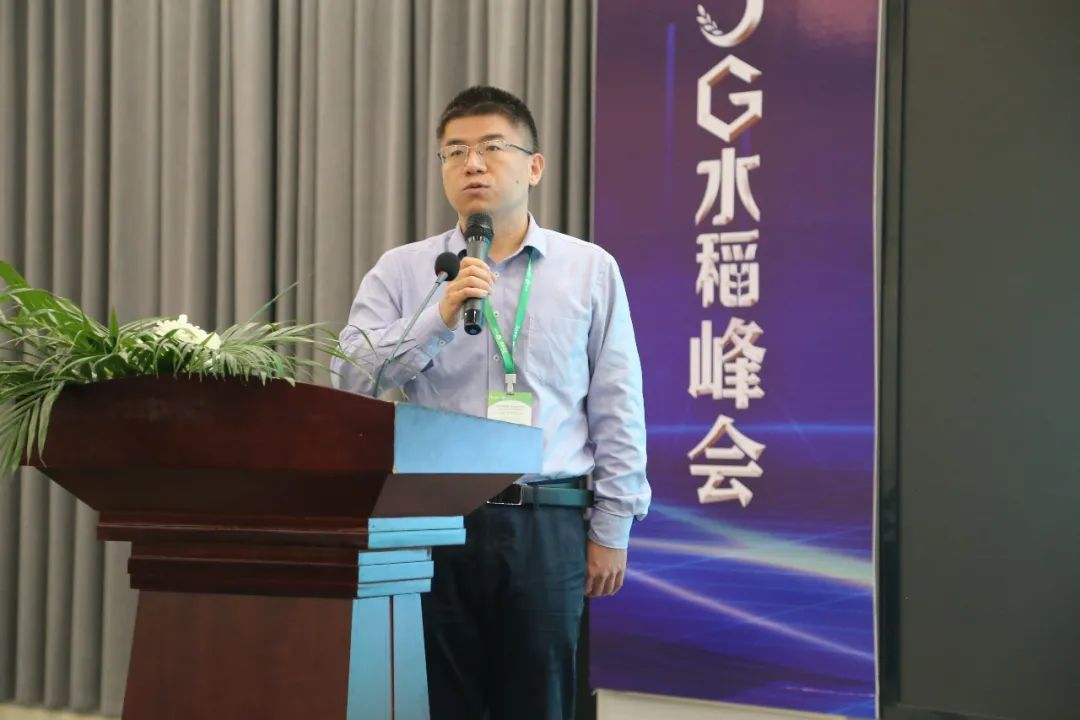 中化农业五合一,中化农业map水稻套餐