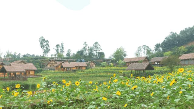 成都双流晚上适合拍照打卡的地方,成都周末打卡推荐双流