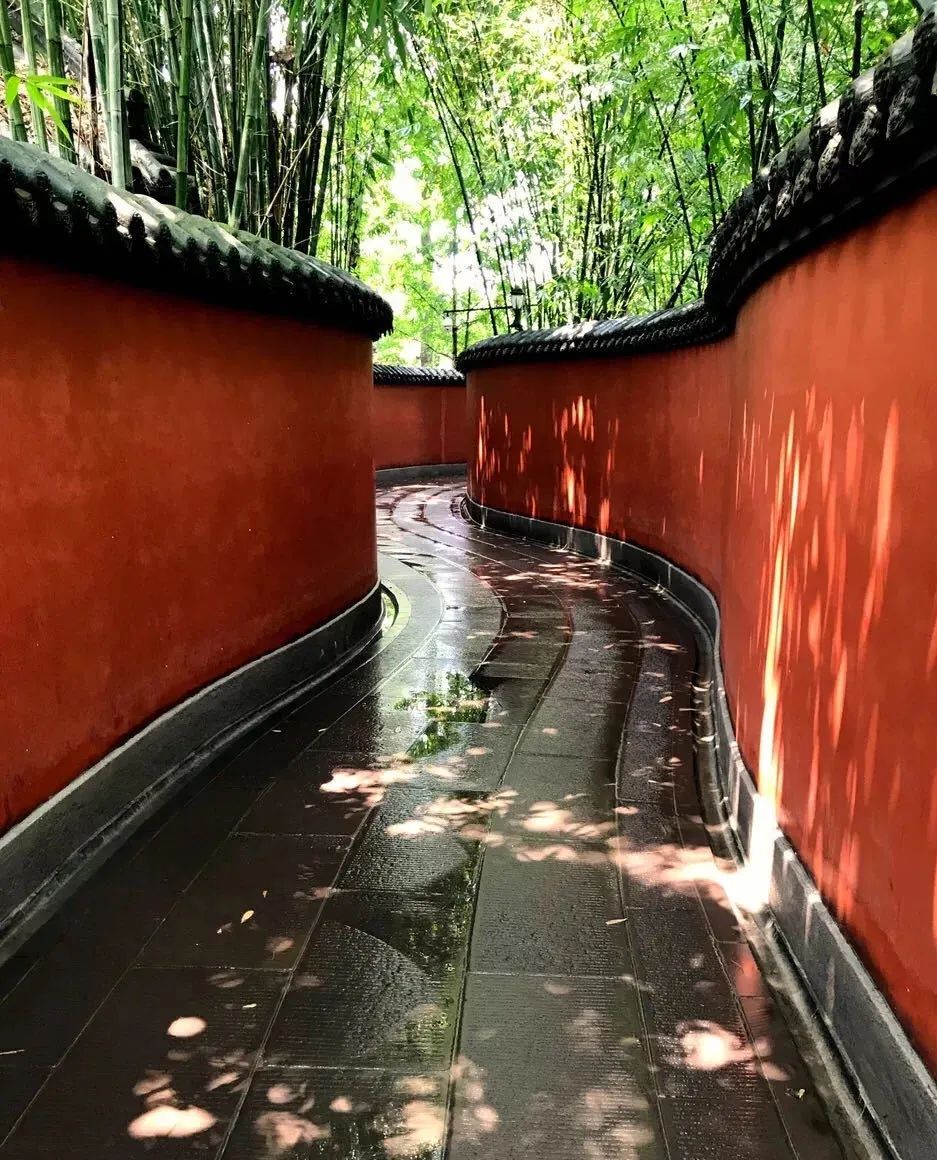 成都这个地方时尚又潮流,时尚成都潮流