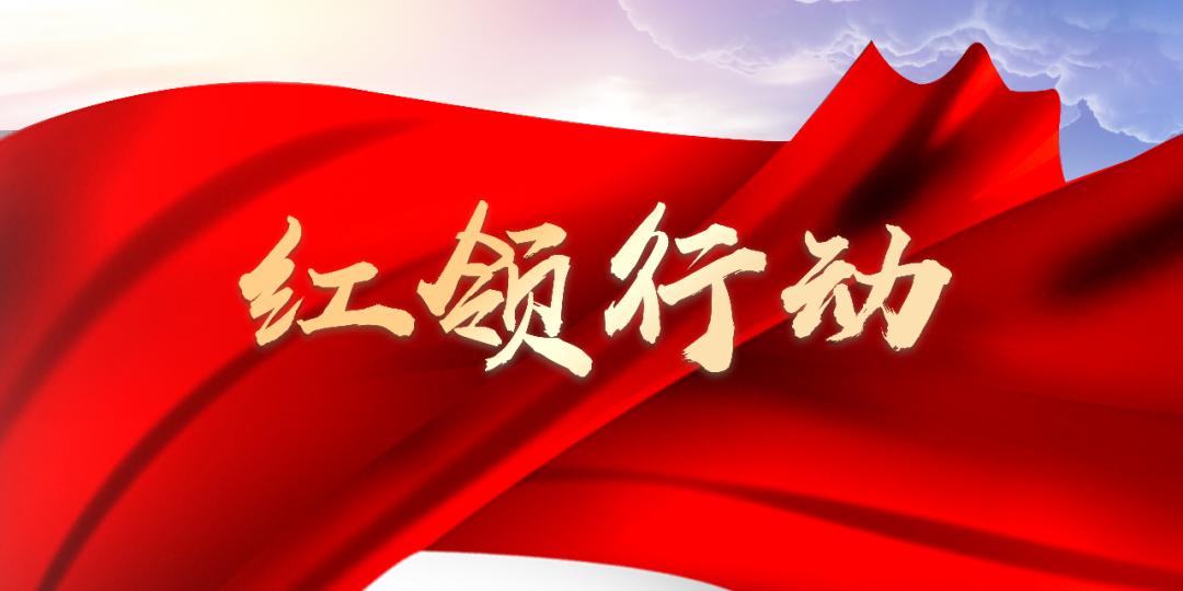 红领行动学校党建品牌创建方案,红领行动