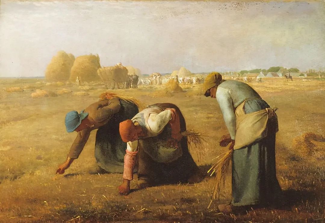 杰克为露丝画素描,杰克给露丝画的是什么画