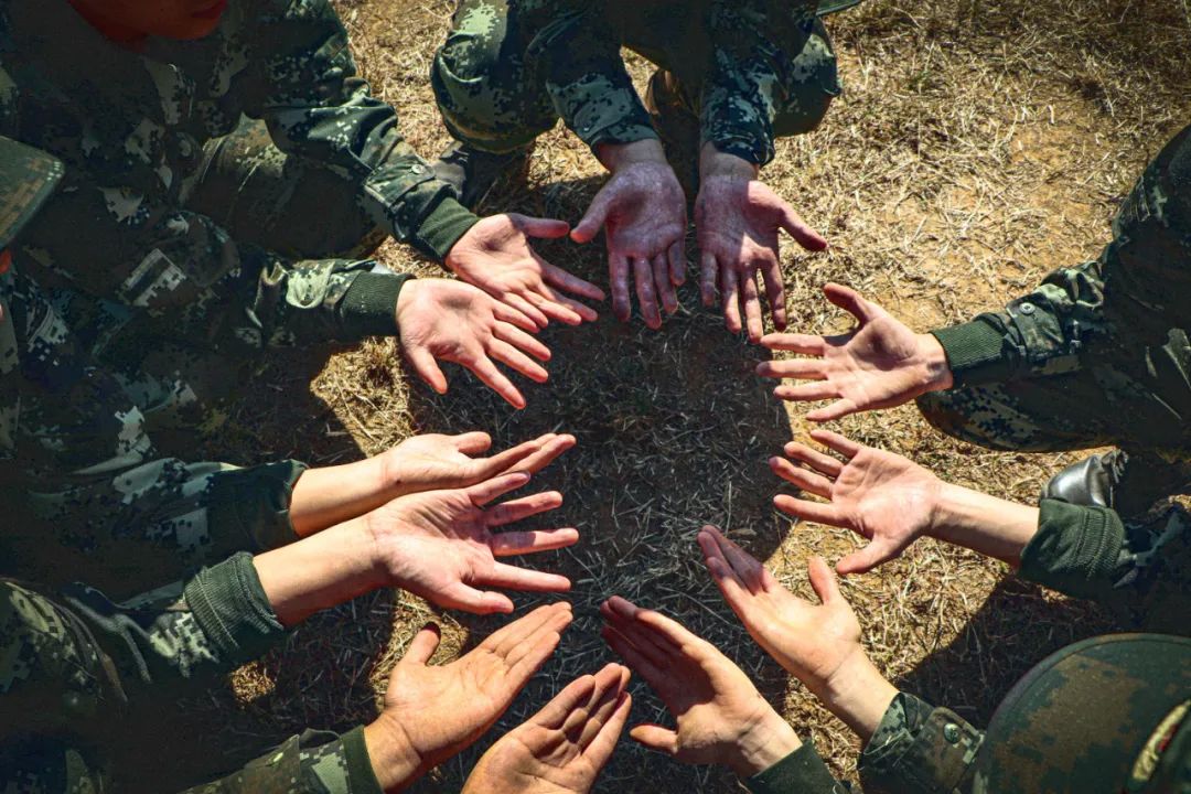 新训进入尾声的视频,新训动作示范