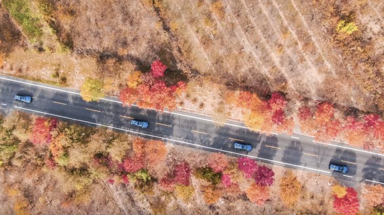 向舒适妥协,拒绝向舒适妥协的驾驶乐趣