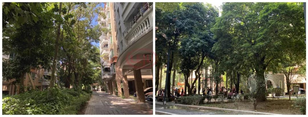 番禺广场二手房楼盘推荐,番禺广场的二手房值得入手吗