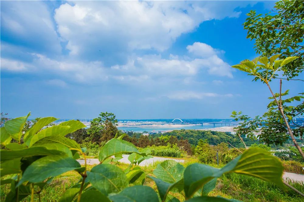 上车旅游打卡,上车打卡下车打卡