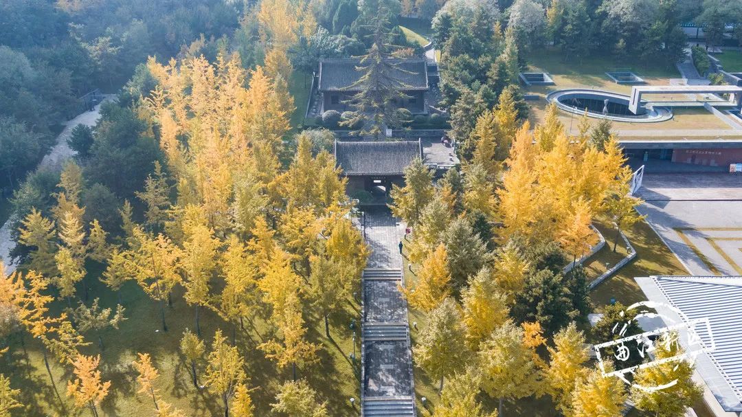 曲江秋天风景,曲江的秋色