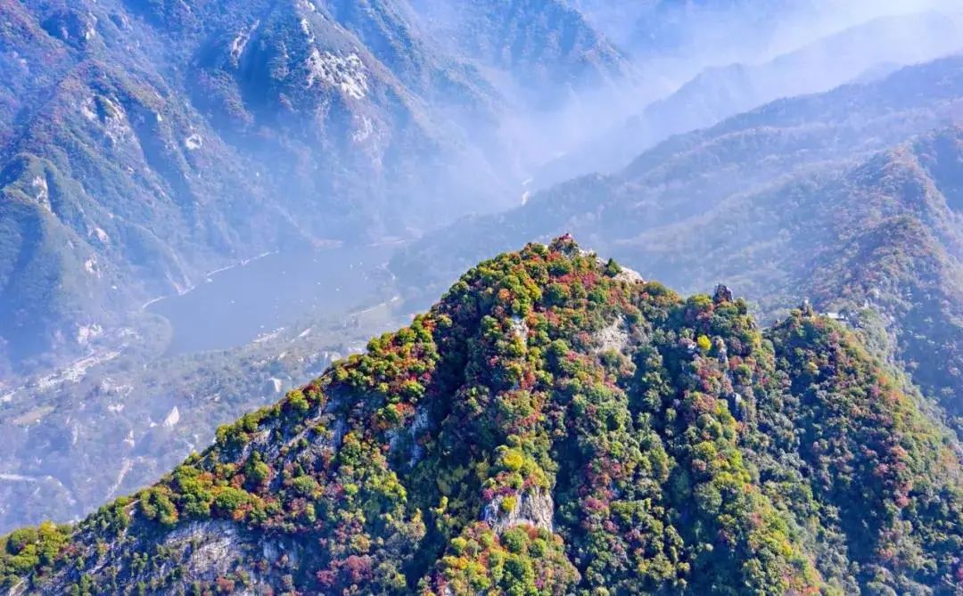 曲江秋天风景,曲江的秋色