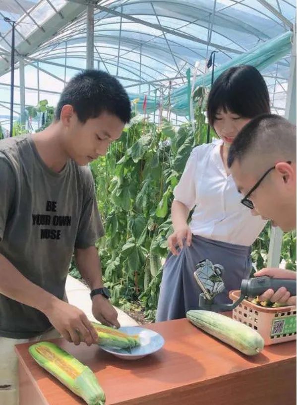 赣南农特产品最新政策,双十一激活电商产业链