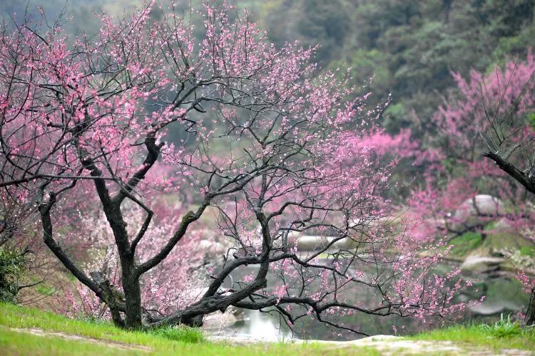 浙江有个湖州市吗,浙江是不是有一个地方叫湖州市
