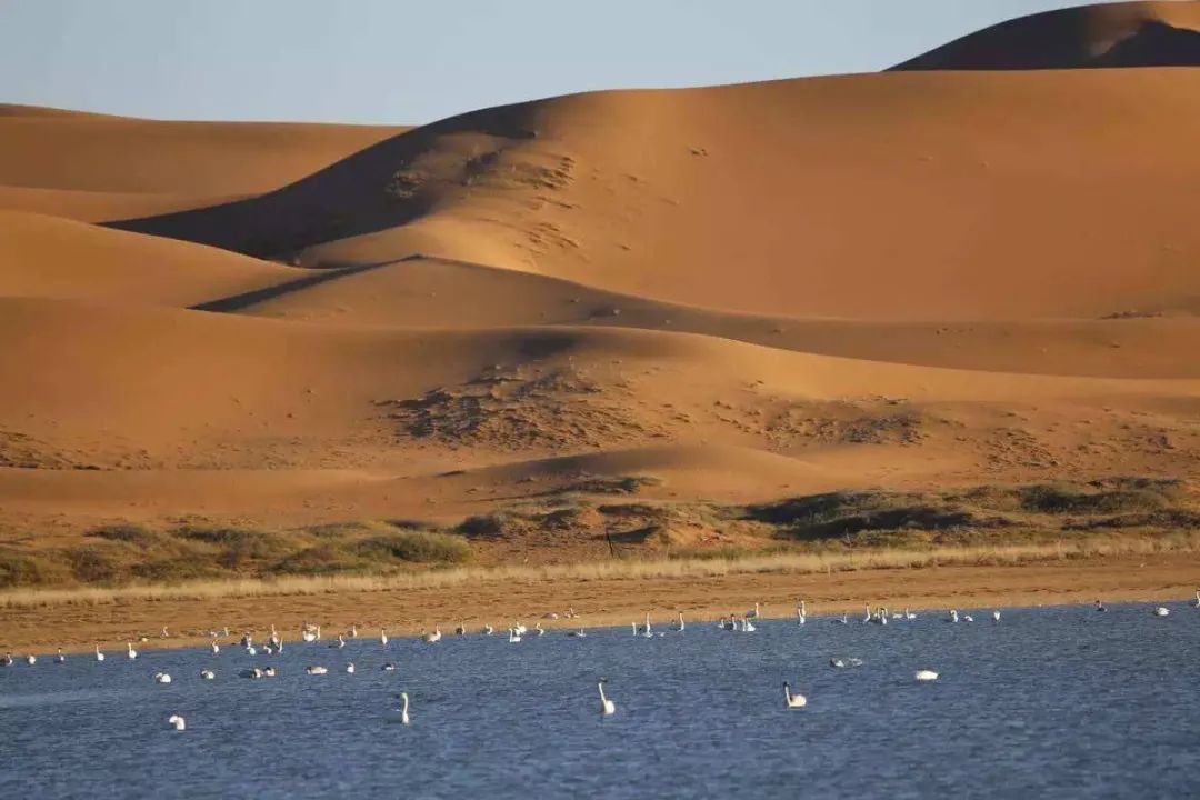 宁夏适合3-4月份旅游,宁夏的秋天