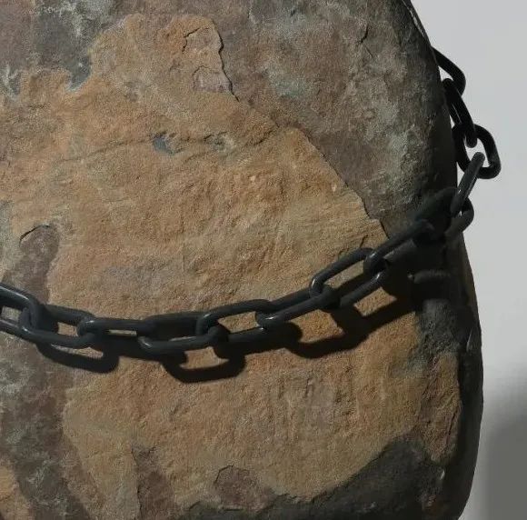 凤凰艺术直播录像,凤凰艺术展览视频