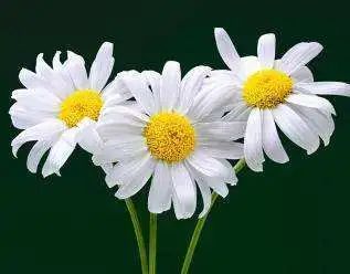 不合格的润唇膏致癌,唇膏选不对有致癌风险