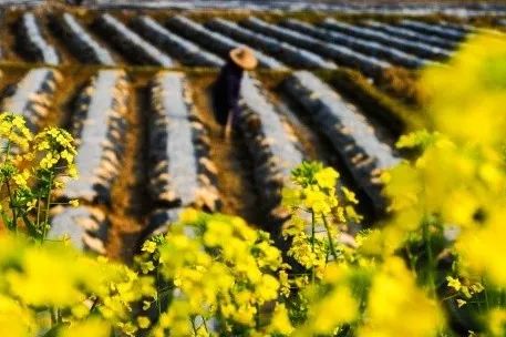 “妇女之友”刘木彪：精湛医术与人文关怀，一个都不能少