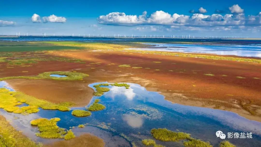 盐城发色,盐城代表颜色
