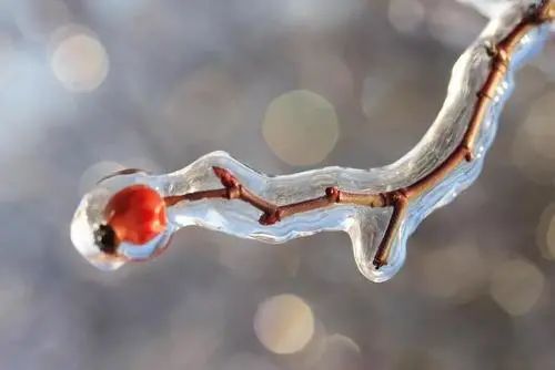 中国二十四节气之一立冬,传统文化二十四节气之立冬