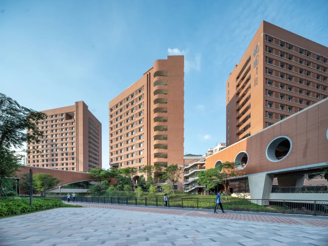 凤凰木守护的校园|深圳中学（泥岗校区）