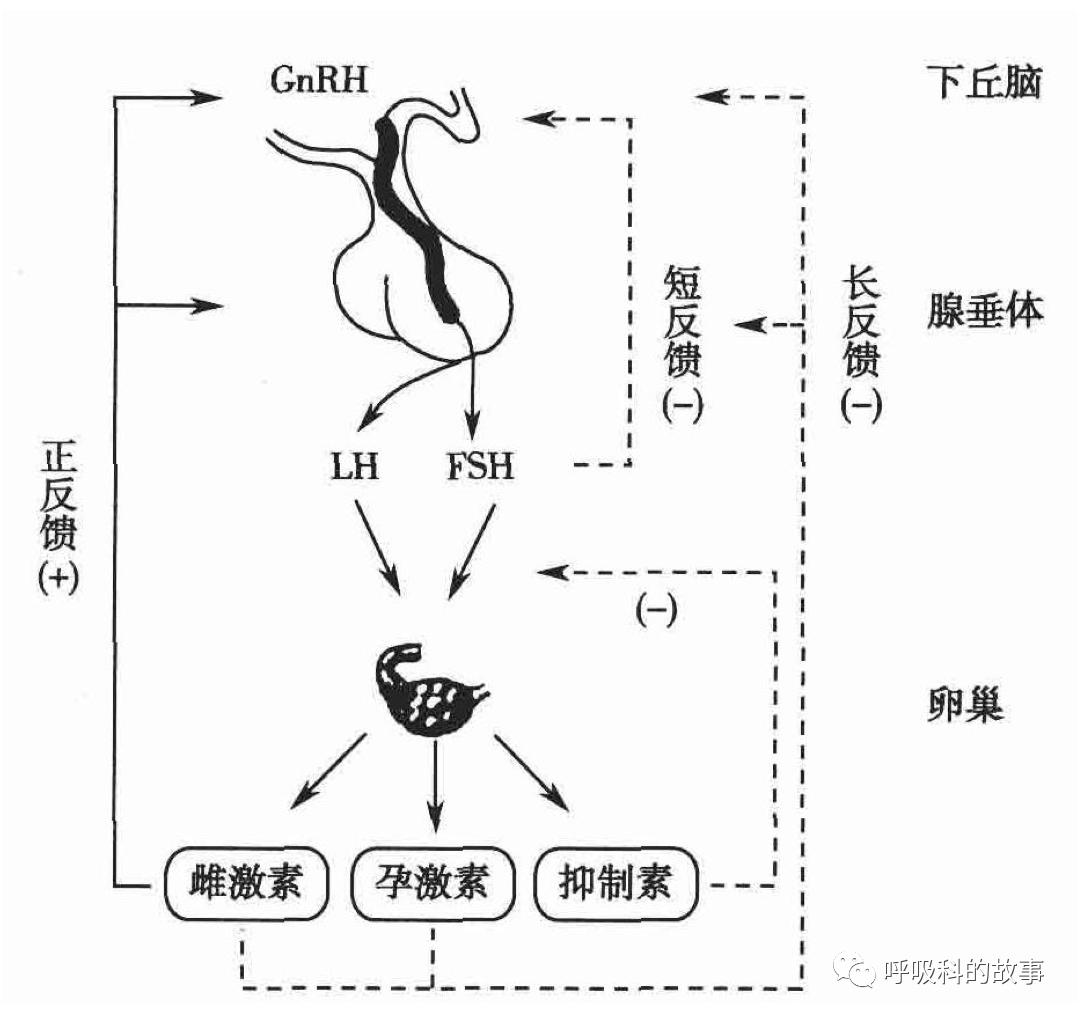 不一样的“月经”，不一样的PBL课