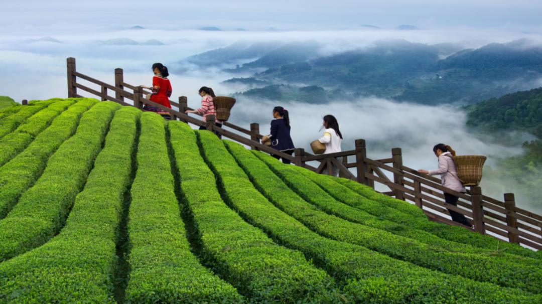 最美乡村游推荐湖北,300条全国乡村旅游精品线路