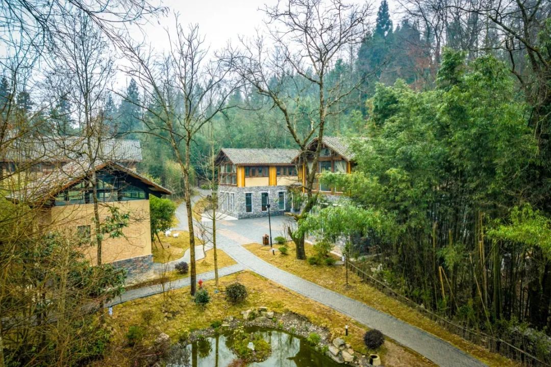 最美乡村游推荐湖北,10条线路村游湖北