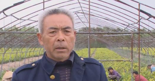 沭阳带动就业促民增收,沭阳县钱集发展